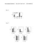 Fission Yeast Expressing Cytochrome P450 Reductase diagram and image