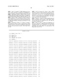 Fission Yeast Expressing Cytochrome P450 Reductase diagram and image