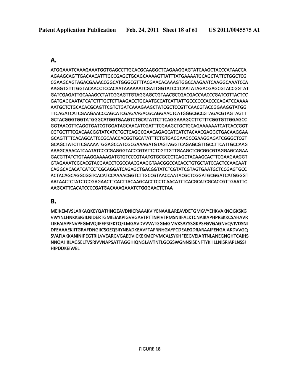 MICROORGANISMS FOR THE PRODUCTION OF 1,4-BUTANEDIOL AND RELATED METHODS - diagram, schematic, and image 19