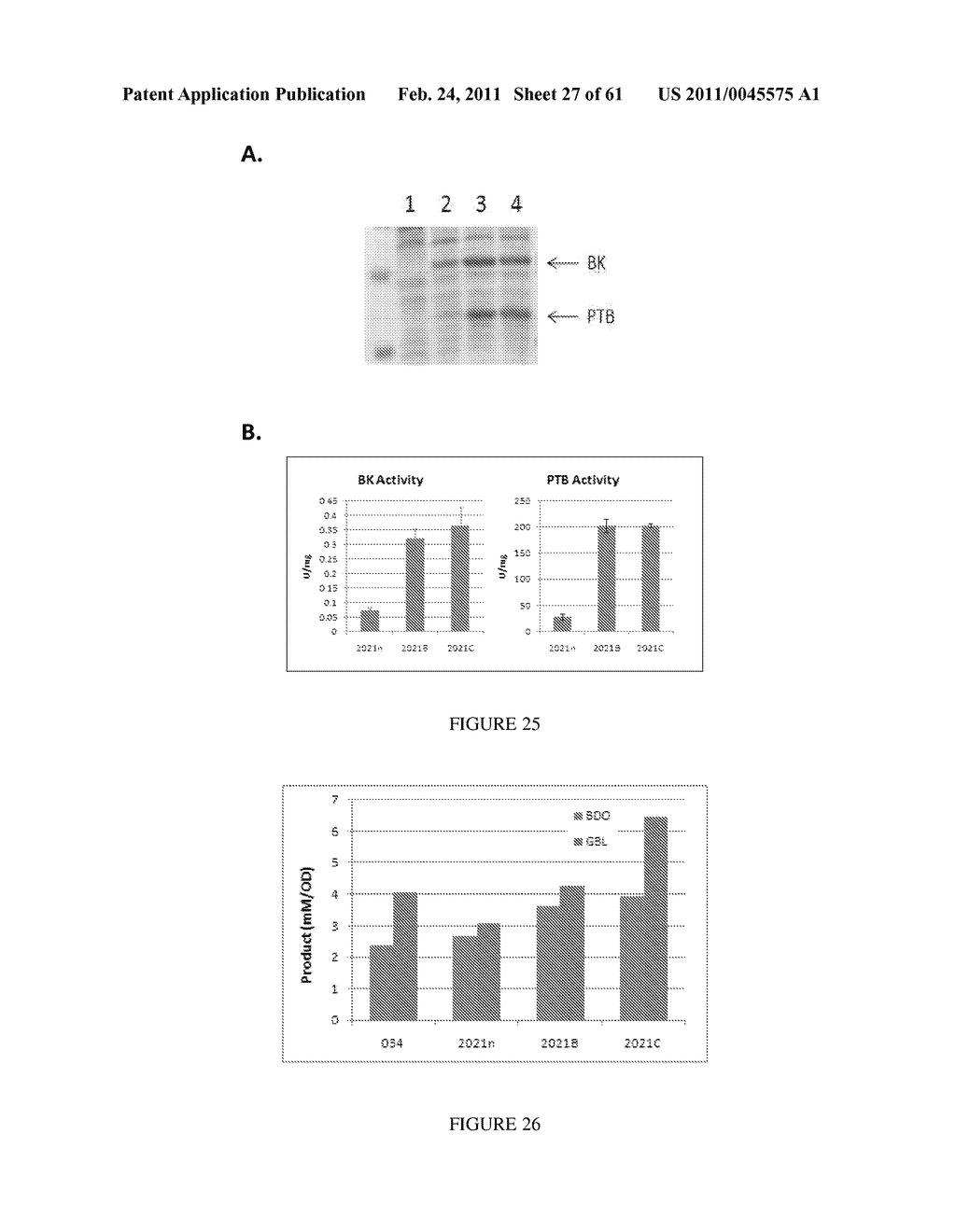 MICROORGANISMS FOR THE PRODUCTION OF 1,4-BUTANEDIOL AND RELATED METHODS - diagram, schematic, and image 28