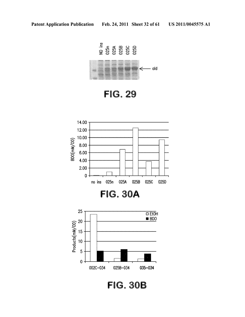 MICROORGANISMS FOR THE PRODUCTION OF 1,4-BUTANEDIOL AND RELATED METHODS - diagram, schematic, and image 33