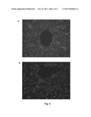 METHOD FOR DETECTING A TARGET MOLECULE IN A BIOLOGICAL SAMPLE diagram and image