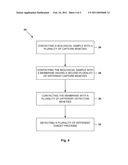 METHOD FOR DETECTING A TARGET MOLECULE IN A BIOLOGICAL SAMPLE diagram and image