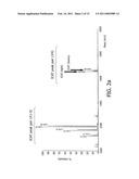 SELECTIVE ENRICHMENT OF N-TERMINALLY MODIFIED PEPTIDES FROM COMPLEX SAMPLES diagram and image