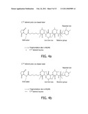 SELECTIVE ENRICHMENT OF N-TERMINALLY MODIFIED PEPTIDES FROM COMPLEX SAMPLES diagram and image