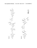 SELECTIVE ENRICHMENT OF N-TERMINALLY MODIFIED PEPTIDES FROM COMPLEX SAMPLES diagram and image