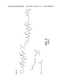 SELECTIVE ENRICHMENT OF N-TERMINALLY MODIFIED PEPTIDES FROM COMPLEX SAMPLES diagram and image