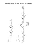 SELECTIVE ENRICHMENT OF N-TERMINALLY MODIFIED PEPTIDES FROM COMPLEX SAMPLES diagram and image