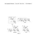 ALPHA-SELECTIVE SIALYL PHOSPHATE DONORS FOR PREPARATION OF SIALOSIDES AND SIALOSIDE ARRAYS FOR INFLUENZA VIRUS DETECTION diagram and image