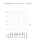 ALPHA-SELECTIVE SIALYL PHOSPHATE DONORS FOR PREPARATION OF SIALOSIDES AND SIALOSIDE ARRAYS FOR INFLUENZA VIRUS DETECTION diagram and image