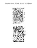 Magnetic-nanoparticle conjugates and methods of use diagram and image