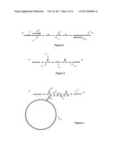 METHODS FOR DETECTING DNA METHYLATION USING ENCODED PARTICLES diagram and image