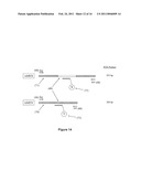 METHODS FOR DETECTING DNA METHYLATION USING ENCODED PARTICLES diagram and image