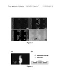 METHOD TO GENERATE BIOMOLECULAR MICRO- AND NANO-PATTERNS BY PARTICLE PRINTING LITHOGRAPHY diagram and image