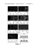 METHOD TO GENERATE BIOMOLECULAR MICRO- AND NANO-PATTERNS BY PARTICLE PRINTING LITHOGRAPHY diagram and image