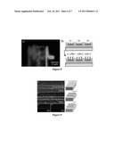 METHOD TO GENERATE BIOMOLECULAR MICRO- AND NANO-PATTERNS BY PARTICLE PRINTING LITHOGRAPHY diagram and image