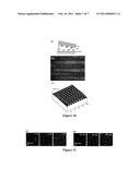 METHOD TO GENERATE BIOMOLECULAR MICRO- AND NANO-PATTERNS BY PARTICLE PRINTING LITHOGRAPHY diagram and image