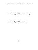 Coagulation factor IX compositions and methods of making and using same diagram and image