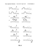 Coagulation factor IX compositions and methods of making and using same diagram and image