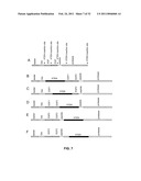 Coagulation factor IX compositions and methods of making and using same diagram and image