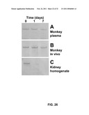 Coagulation factor IX compositions and methods of making and using same diagram and image