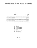 Coagulation factor IX compositions and methods of making and using same diagram and image