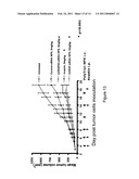 COMPOSITIONS COMPRISING HUMAN EGFR-siRNA AND METHODS OF USE diagram and image