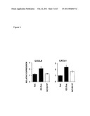 Uses of Modified ELR-CXC Chemokine G31P diagram and image