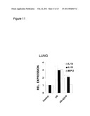 Uses of Modified ELR-CXC Chemokine G31P diagram and image