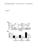 Uses of Modified ELR-CXC Chemokine G31P diagram and image