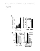 Uses of Modified ELR-CXC Chemokine G31P diagram and image