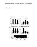 Uses of Modified ELR-CXC Chemokine G31P diagram and image