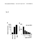 Uses of Modified ELR-CXC Chemokine G31P diagram and image