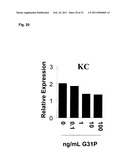 Uses of Modified ELR-CXC Chemokine G31P diagram and image