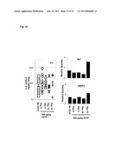 Uses of Modified ELR-CXC Chemokine G31P diagram and image