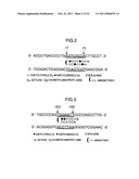 GENE EXPRESSION INHIBITOR SELECTIVE FOR MATRIX METALLOPROTEINASE-9 GENE diagram and image