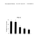 GENE EXPRESSION INHIBITOR SELECTIVE FOR MATRIX METALLOPROTEINASE-9 GENE diagram and image