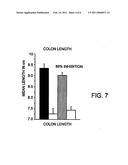 SOLUBLE LYMPHOTOXIN-BETA RECEPTOR FUSION PROTEIN AND METHODS FOR INHIBITING LYMPHOTOXIN BETA-RECEPTOR SIGNALING diagram and image