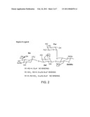 METHODS AND COMPOSITIONS FOR TREATING DISEASES AND DISORDERS ASSOCIATED WITH SIGLEC-8 diagram and image