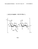 EXOPOLYSACCHARIDE diagram and image