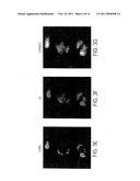 NUCLEOLAR TARGETING OF THERAPEUTICS AGAINST HIV diagram and image