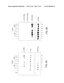 NUCLEOLAR TARGETING OF THERAPEUTICS AGAINST HIV diagram and image