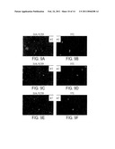 NUCLEOLAR TARGETING OF THERAPEUTICS AGAINST HIV diagram and image