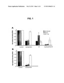 COMBINATION THERAPY OF HEDGEHOG INHIBITORS, RADIATION AND CHEMOTHERAPEUTIC AGENTS diagram and image