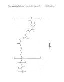 POLYMER COMPOSITIONS HAVING POLY(LACTIC ACID) diagram and image