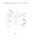 METHODS AND COMPOSITIONS RELATED TO VIRAL INHIBITION diagram and image