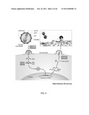 METHODS AND COMPOSITIONS RELATED TO VIRAL INHIBITION diagram and image