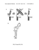 METHODS AND COMPOSITIONS RELATED TO VIRAL INHIBITION diagram and image