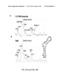 METHODS AND COMPOSITIONS RELATED TO VIRAL INHIBITION diagram and image