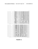 YIELD ENHANCEMENT IN PLANTS BY MODULATION OF ZEA MAYS PROTEIN KINASE-LIKE GENE (ZMPKL1) diagram and image